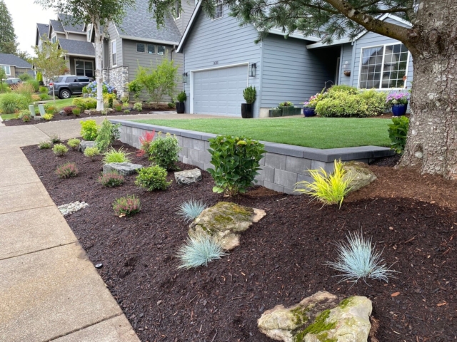 Professional Landscape Design