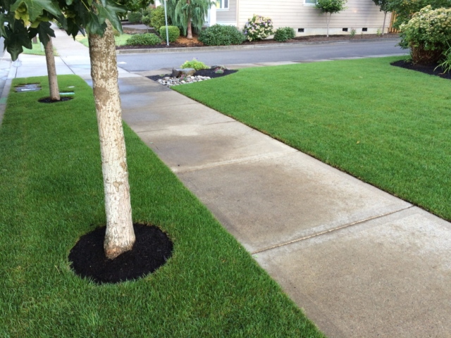 Landscape Maintenance ©ArtisticLandscapes