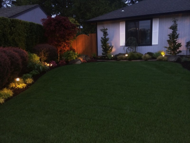 Professional Landscape Design