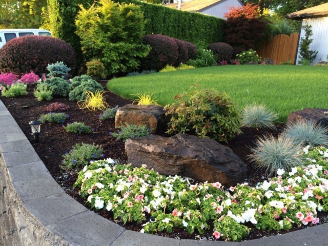 Professional Landscape Design