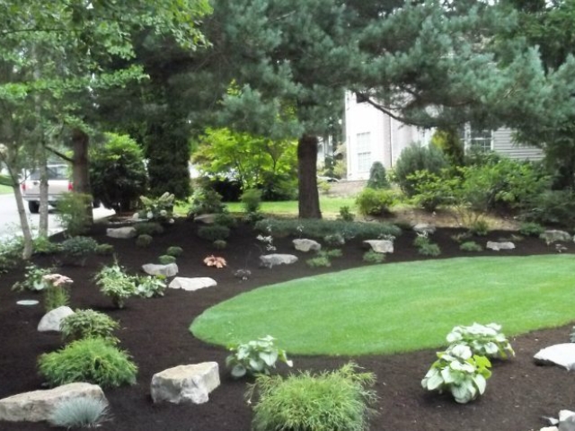 Professional Landscape Design