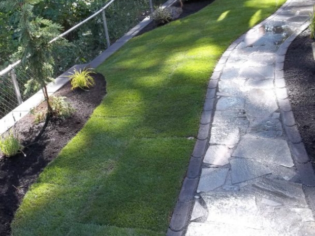 Professional Landscape Design