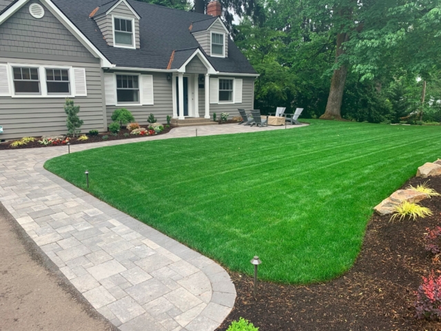 New Sod Lawns