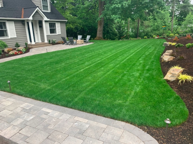 New Sod Lawn Photo Gallery