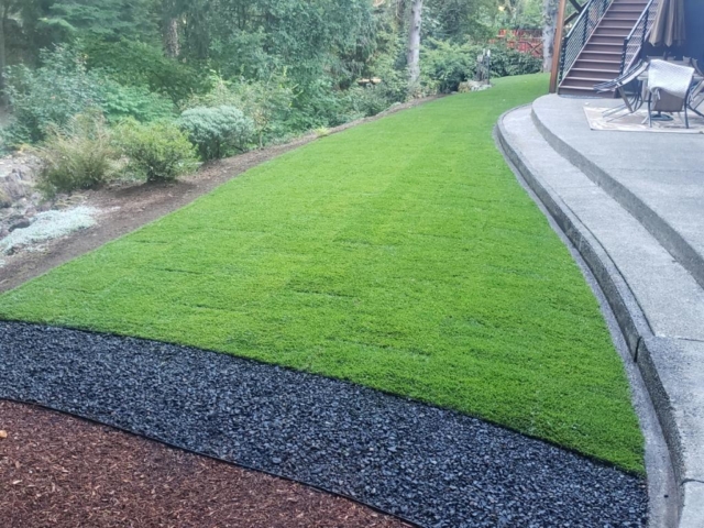 New Sod Lawns