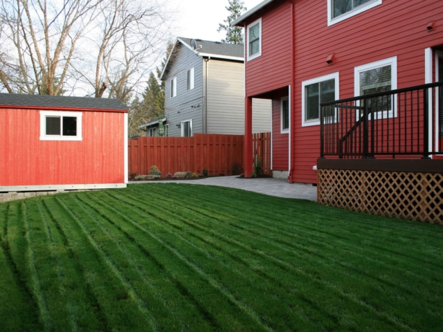 New Sod Lawns