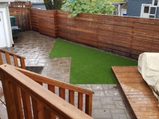 Synthetic Lawns