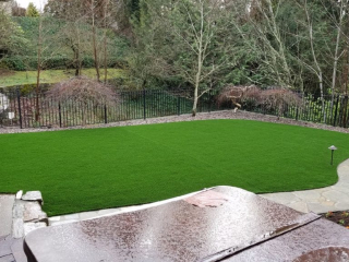 Synthetic Lawns